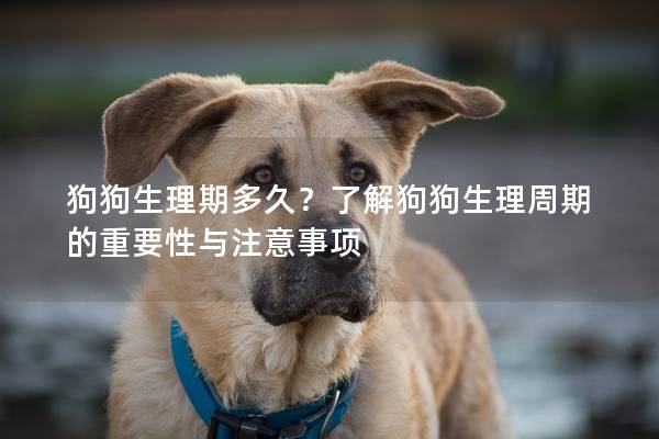 狗狗生理期多久？了解狗狗生理周期的重要性与注意事项