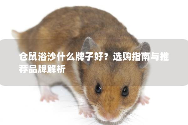 仓鼠浴沙什么牌子好？选购指南与推荐品牌解析
