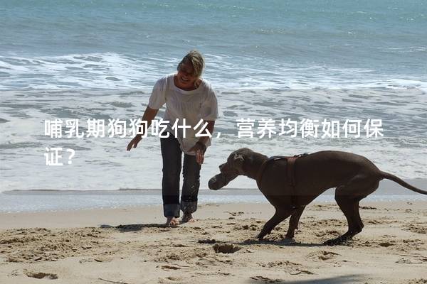 哺乳期狗狗吃什么，营养均衡如何保证？