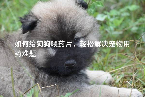 如何给狗狗喂药片,轻松解决宠物用药难题 如何给狗狗喂药片,轻松解决宠物用药难题