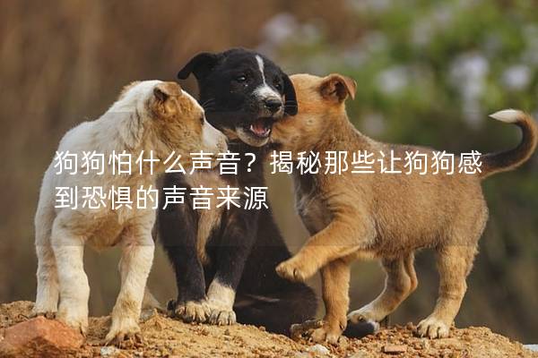 狗狗怕什么声音?揭秘那些让狗狗感到恐惧的声音来源 狗狗怕什么声音?揭秘那些让狗狗感到恐惧的声音来源