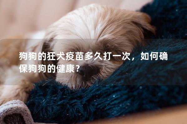 狗狗的狂犬疫苗多久打一次，如何确保狗狗的健康？