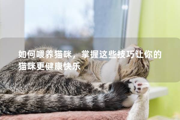 如何喂养猫咪，掌握这些技巧让你的猫咪更健康快乐