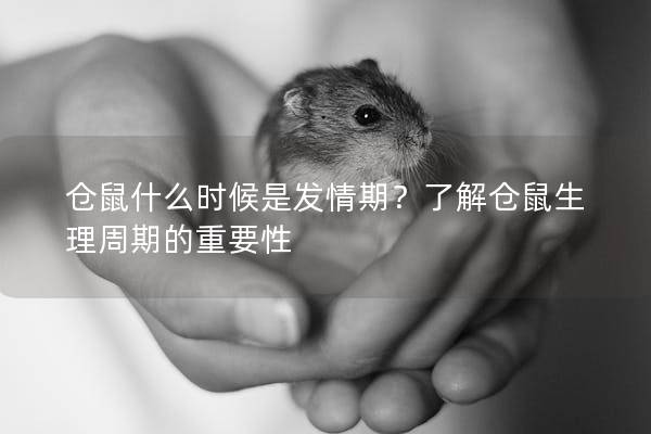 仓鼠什么时候是发情期？了解仓鼠生理周期的重要性