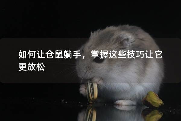 如何让仓鼠躺手，掌握这些技巧让它更放松