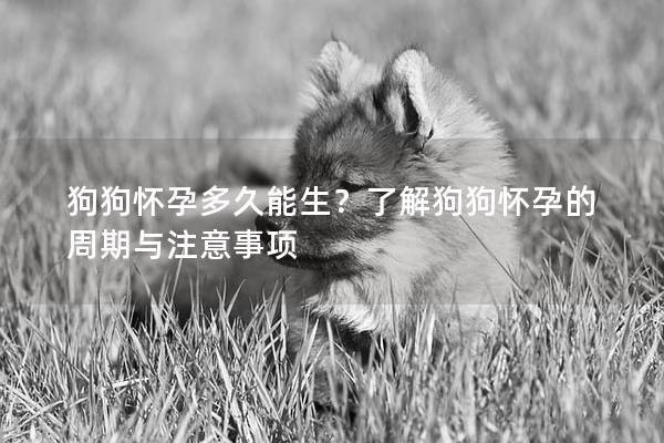 狗狗怀孕多久能生？了解狗狗怀孕的周期与注意事项