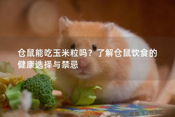 仓鼠能吃玉米粒吗？了解仓鼠饮食的健康选择与禁忌