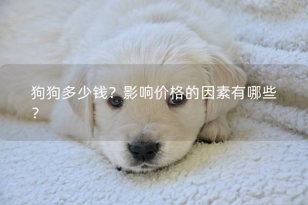 狗狗多少钱?影响价格的因素有哪些? 狗狗多少钱?影响价格的因素有哪些?