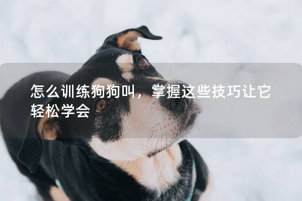 怎么训练狗狗叫，掌握这些技巧让它轻松学会
