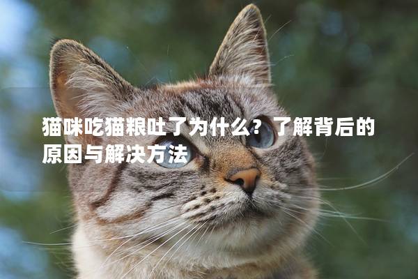 猫咪吃猫粮吐了为什么？了解背后的原因与解决方法