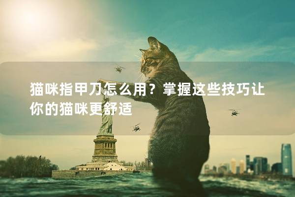 猫咪指甲刀怎么用？掌握这些技巧让你的猫咪更舒适