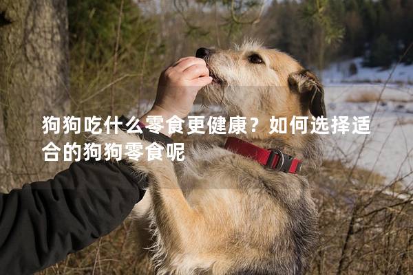 狗狗吃什么零食更健康？如何选择适合的狗狗零食呢