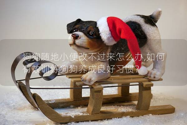 狗狗随地小便改不过来怎么办,如何有效训练狗狗养成良好习惯？