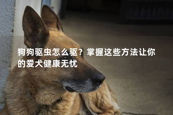 狗狗驱虫怎么驱？掌握这些方法让你的爱犬健康无忧