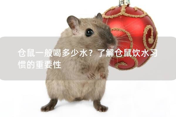 仓鼠一般喝多少水？了解仓鼠饮水习惯的重要性