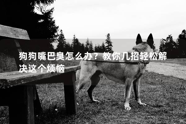狗狗嘴巴臭怎么办？教你几招轻松解决这个烦恼
