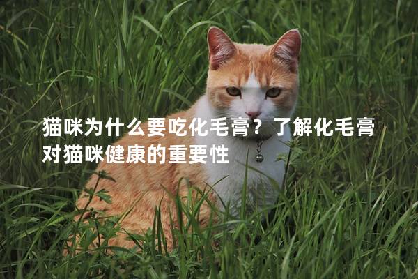 猫咪为什么要吃化毛膏？了解化毛膏对猫咪健康的重要性