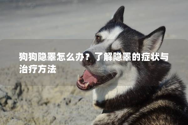 狗狗隐睾怎么办？了解隐睾的症状与治疗方法