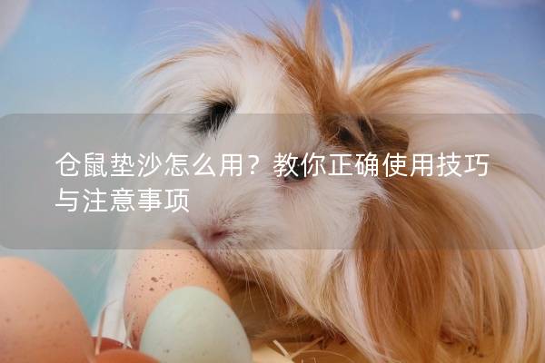 仓鼠垫沙怎么用?教你正确使用技巧与注意事项 仓鼠垫沙怎么用?教你正确使用技巧与注意事项