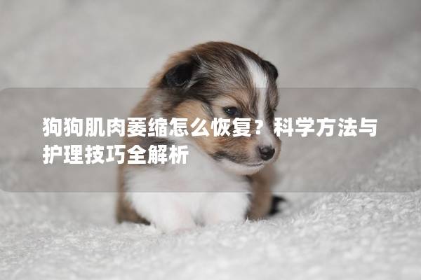 狗狗肌肉萎缩怎么恢复？科学方法与护理技巧全解析