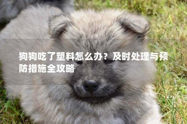 狗狗吃了塑料怎么办？及时处理与预防措施全攻略