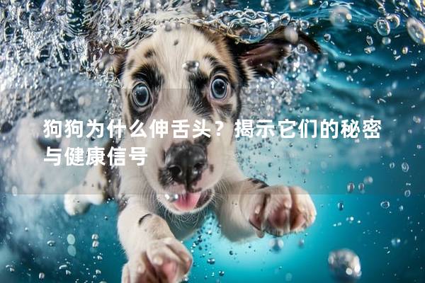 狗狗为什么伸舌头？揭示它们的秘密与健康信号