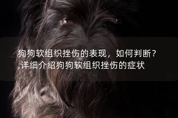 狗狗软组织挫伤的表现，如何判断？,详细介绍狗狗软组织挫伤的症状