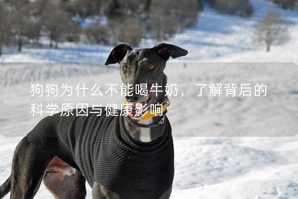 狗狗为什么不能喝牛奶，了解背后的科学原因与健康影响