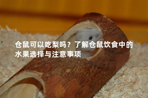 仓鼠可以吃梨吗？了解仓鼠饮食中的水果选择与注意事项