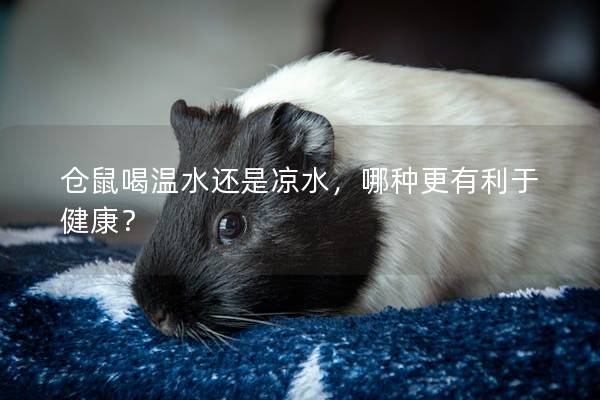仓鼠喝温水还是凉水，哪种更有利于健康？
