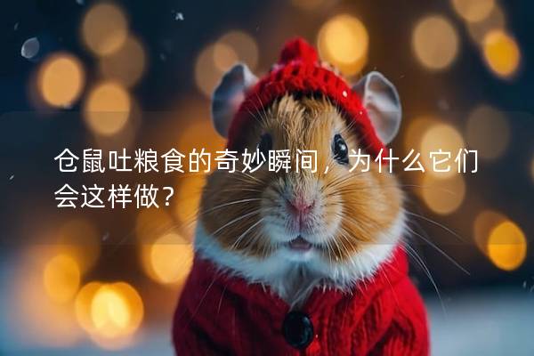仓鼠吐粮食的奇妙瞬间，为什么它们会这样做？