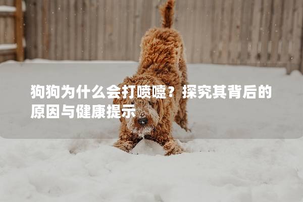 狗狗为什么会打喷嚏？探究其背后的原因与健康提示