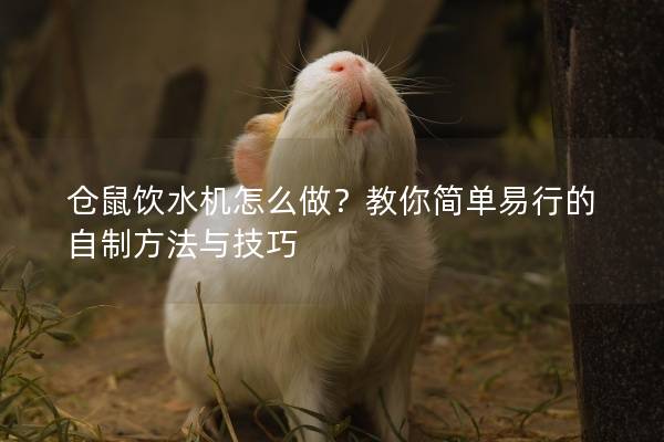 仓鼠饮水机怎么做？教你简单易行的自制方法与技巧