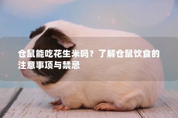 仓鼠能吃花生米吗？了解仓鼠饮食的注意事项与禁忌