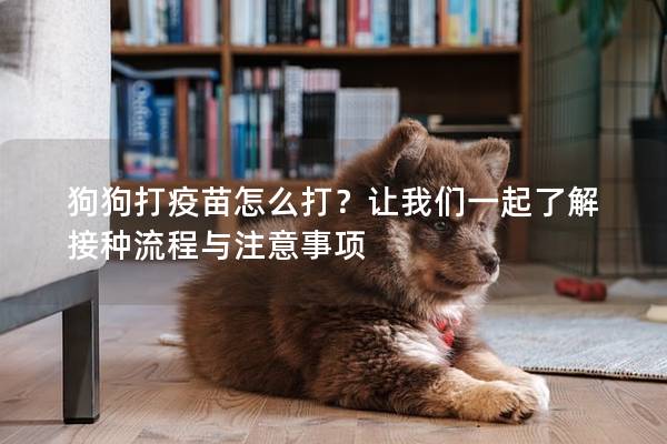 狗狗打疫苗怎么打?让我们一起了解接种流程与注意事项 狗狗打疫苗怎么打?让我们一起了解接种流程与注意事项