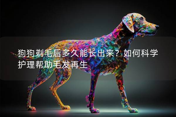 狗狗剃毛后多久能长出来?如何科学护理帮助毛发再生 狗狗剃毛后多久能长出来?如何科学护理帮助毛发再生