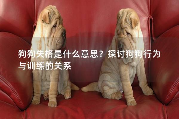 狗狗失格是什么意思？探讨狗狗行为与训练的关系