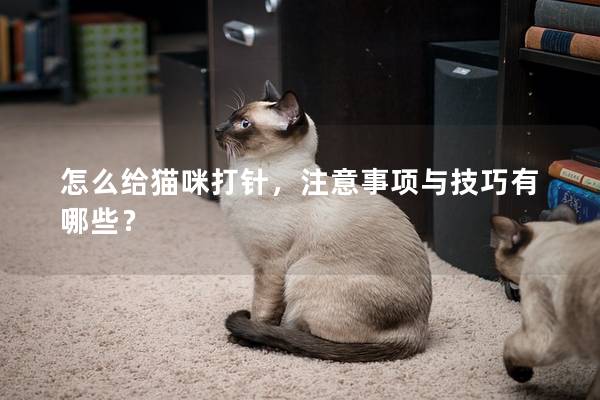 怎么给猫咪打针，注意事项与技巧有哪些？