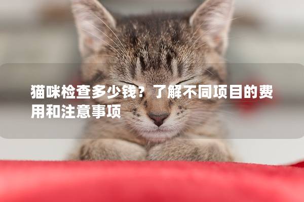 猫咪检查多少钱？了解不同项目的费用和注意事项