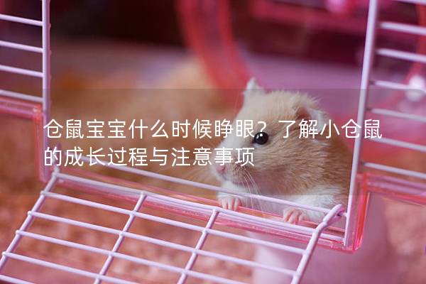 仓鼠宝宝什么时候睁眼？了解小仓鼠的成长过程与注意事项