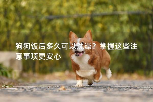 狗狗饭后多久可以洗澡？掌握这些注意事项更安心