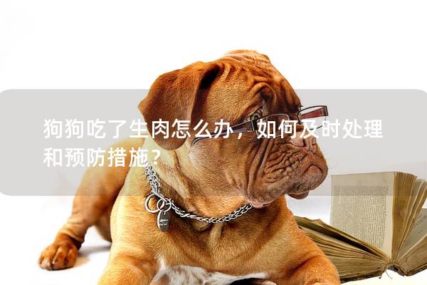 狗狗吃了生肉怎么办，如何及时处理和预防措施？