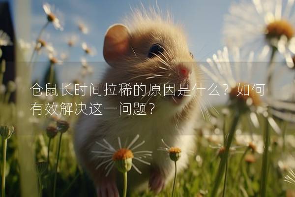 仓鼠长时间拉稀的原因是什么？如何有效解决这一问题？