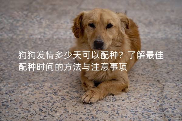 狗狗发情多少天可以配种?了解最佳配种时间的方法与注意事项 狗狗发情多少天可以配种?了解最佳配种时间的方法与注意事项