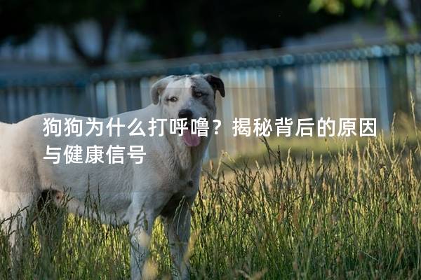 狗狗为什么打呼噜？揭秘背后的原因与健康信号