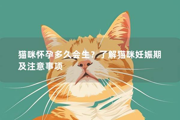 猫咪怀孕多久会生？了解猫咪妊娠期及注意事项