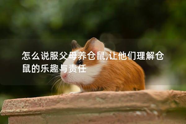怎么说服父母养仓鼠,让他们理解仓鼠的乐趣与责任