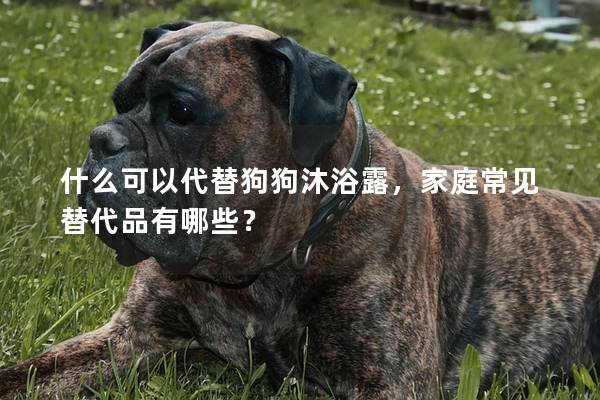 什么可以代替狗狗沐浴露,家庭常见替代品有哪些? 什么可以代替狗狗沐浴露,家庭常见替代品有哪些?