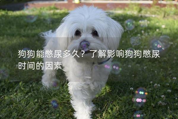 狗狗能憋尿多久？了解影响狗狗憋尿时间的因素