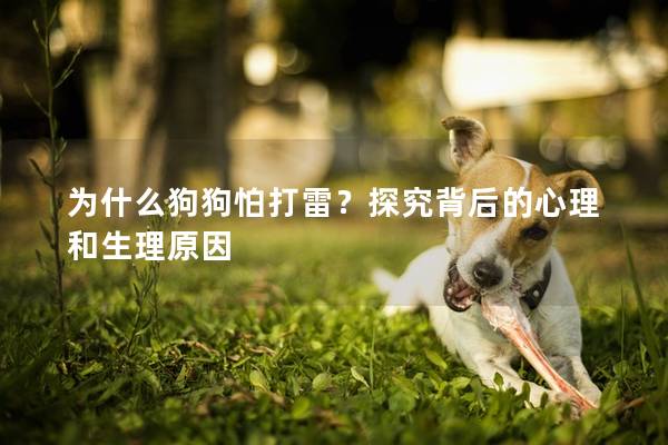 为什么狗狗怕打雷？探究背后的心理和生理原因